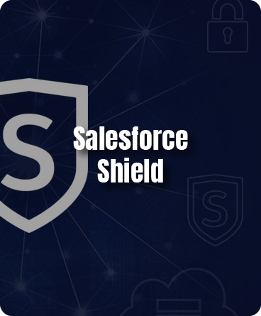 https://ml6budhhtlpa.i.optimole.com/cb:Ax6Q.f54/w:auto/h:auto/q:mauto/f:best/https://www.avancercorp.com/wp-content/uploads/2024/07/Salesforce-Shield.png